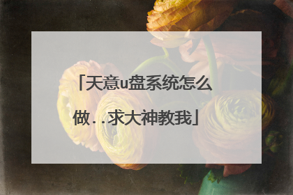天意u盘系统怎么做..求大神教我