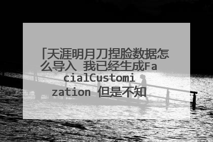 天涯明月刀捏脸数据怎么导入 我已经生成FacialCustomization 但是不知道怎么替换里面的文件
