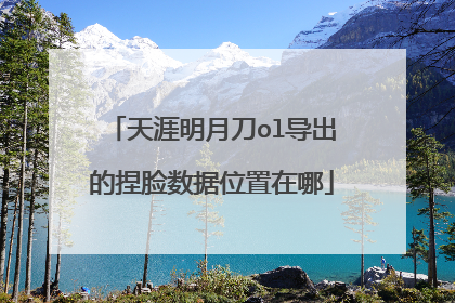 天涯明月刀ol导出的捏脸数据位置在哪