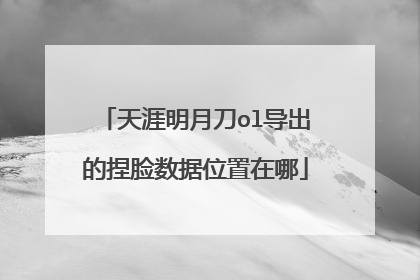天涯明月刀ol导出的捏脸数据位置在哪