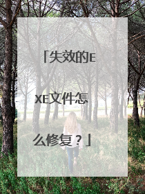 失效的EXE文件怎么修复?