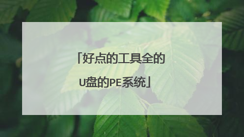 好点的工具全的U盘的PE系统