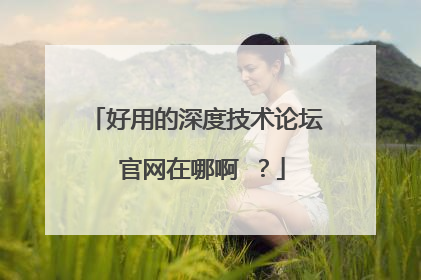 好用的深度技术论坛 官网在哪啊 ?