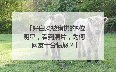 好白菜被猪拱的5位明星,看到照片,为何网友十分愤怒?