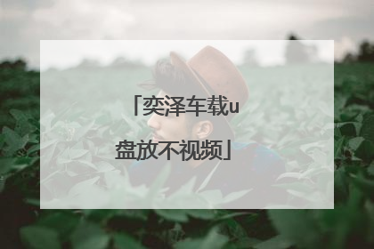 奕泽车载u盘放不视频
