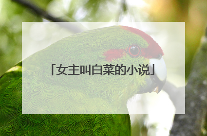 女主叫白菜的小说