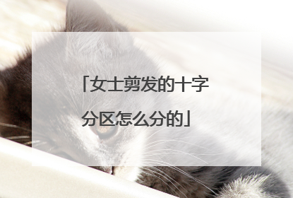女士剪发的十字分区怎么分的