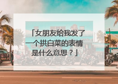 女朋友给我发了一个拱白菜的表情是什么意思?