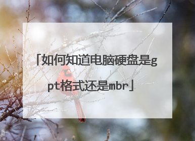 如何知道电脑硬盘是gpt格式还是mbr