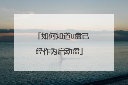 如何知道U盘已经作为启动盘