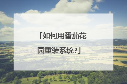 如何用番茄花园重装系统?