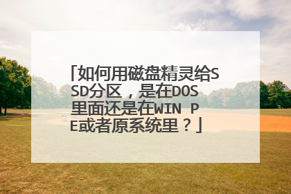 如何用磁盘精灵给SSD分区,是在DOS里面还是在WIN PE或者原系统里?
