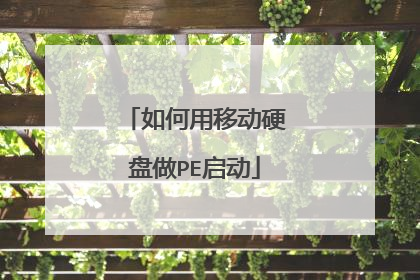 如何用移动硬盘做PE启动
