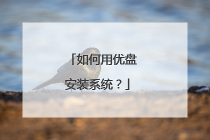 如何用优盘安装系统?