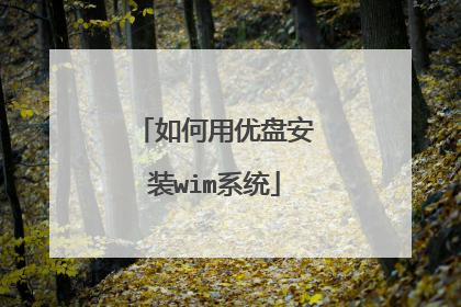 如何用优盘安装wim系统