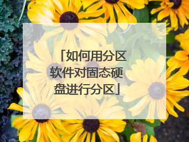 如何用分区软件对固态硬盘进行分区