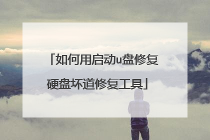 如何用启动u盘修复硬盘坏道修复工具