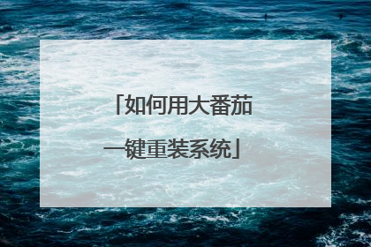 如何用大番茄一键重装系统
