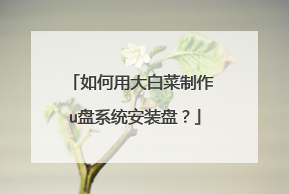 如何用大白菜制作u盘系统安装盘?