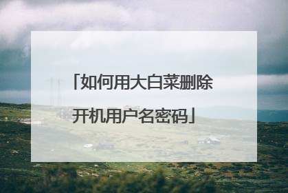 如何用大白菜删除开机用户名密码