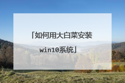 如何用大白菜安装win10系统