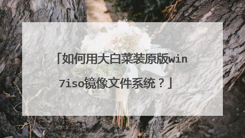 如何用大白菜装原版win7iso镜像文件系统？