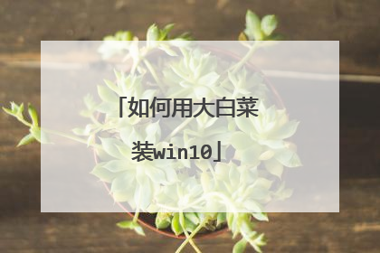 如何用大白菜装win10