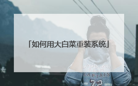 如何用大白菜重装系统