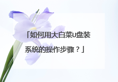 如何用大白菜U盘装系统的操作步骤?
