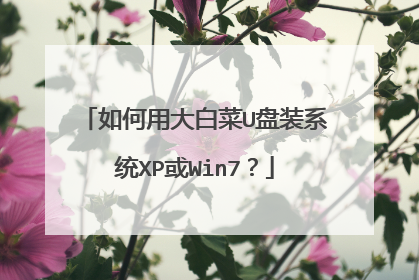 如何用大白菜U盘装系统XP或Win7?
