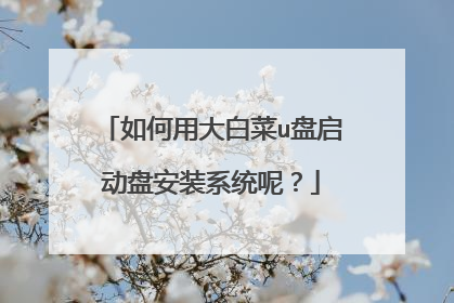 如何用大白菜u盘启动盘安装系统呢?
