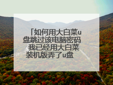 如何用大白菜u盘跳过该电脑密码 我已经用大白菜装机版弄了u盘 但不知