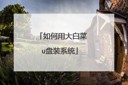 如何用大白菜u盘装系统