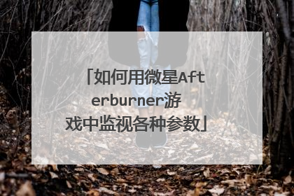 如何用微星Afterburner游戏中监视各种参数