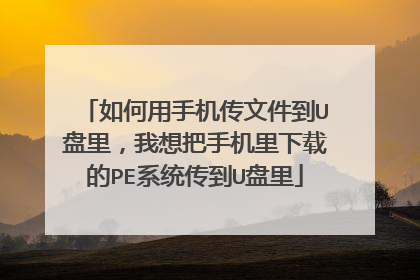 如何用手机传文件到U盘里，我想把手机里下载的PE系统传到U盘里