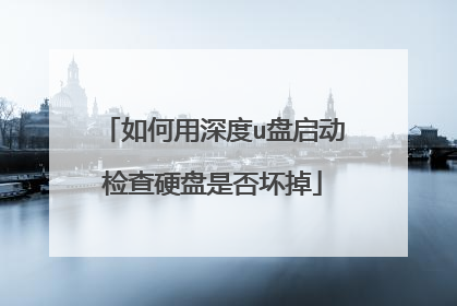 如何用深度u盘启动检查硬盘是否坏掉
