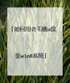 如何用老毛桃u盘装win8系统