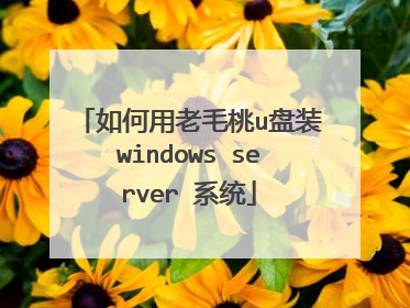 如何用老毛桃u盘装windows server 系统