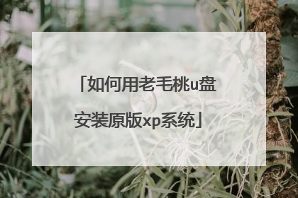 如何用老毛桃u盘安装原版xp系统