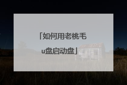 如何用老桃毛u盘启动盘