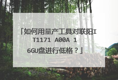 如何用量产工具对联阳IT1171 A00A 16GU盘进行低格?