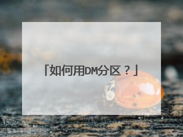 如何用DM分区?