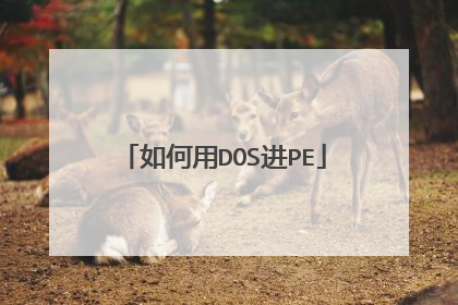如何用DOS进PE