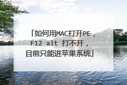 如何用MAC打开PE,F12 alt 打不开,目前只能进苹果系统