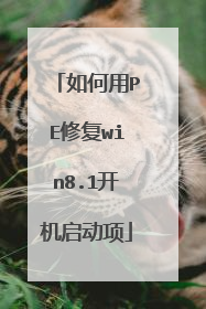 如何用PE修复win8.1开机启动项
