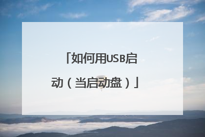 如何用USB启动（当启动盘）