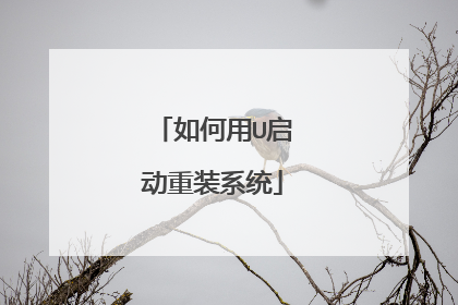 如何用U启动重装系统