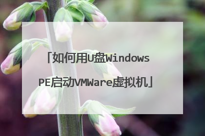 如何用U盘Windows PE启动VMWare虚拟机