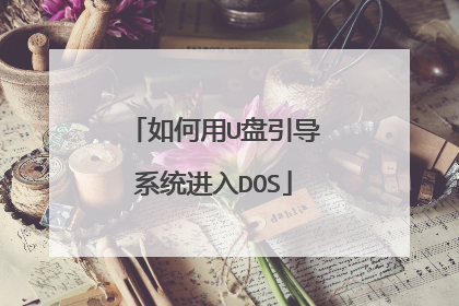 如何用U盘引导系统进入DOS