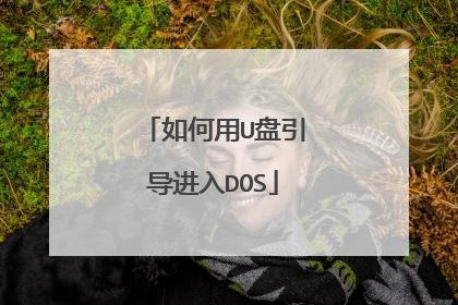如何用U盘引导进入DOS